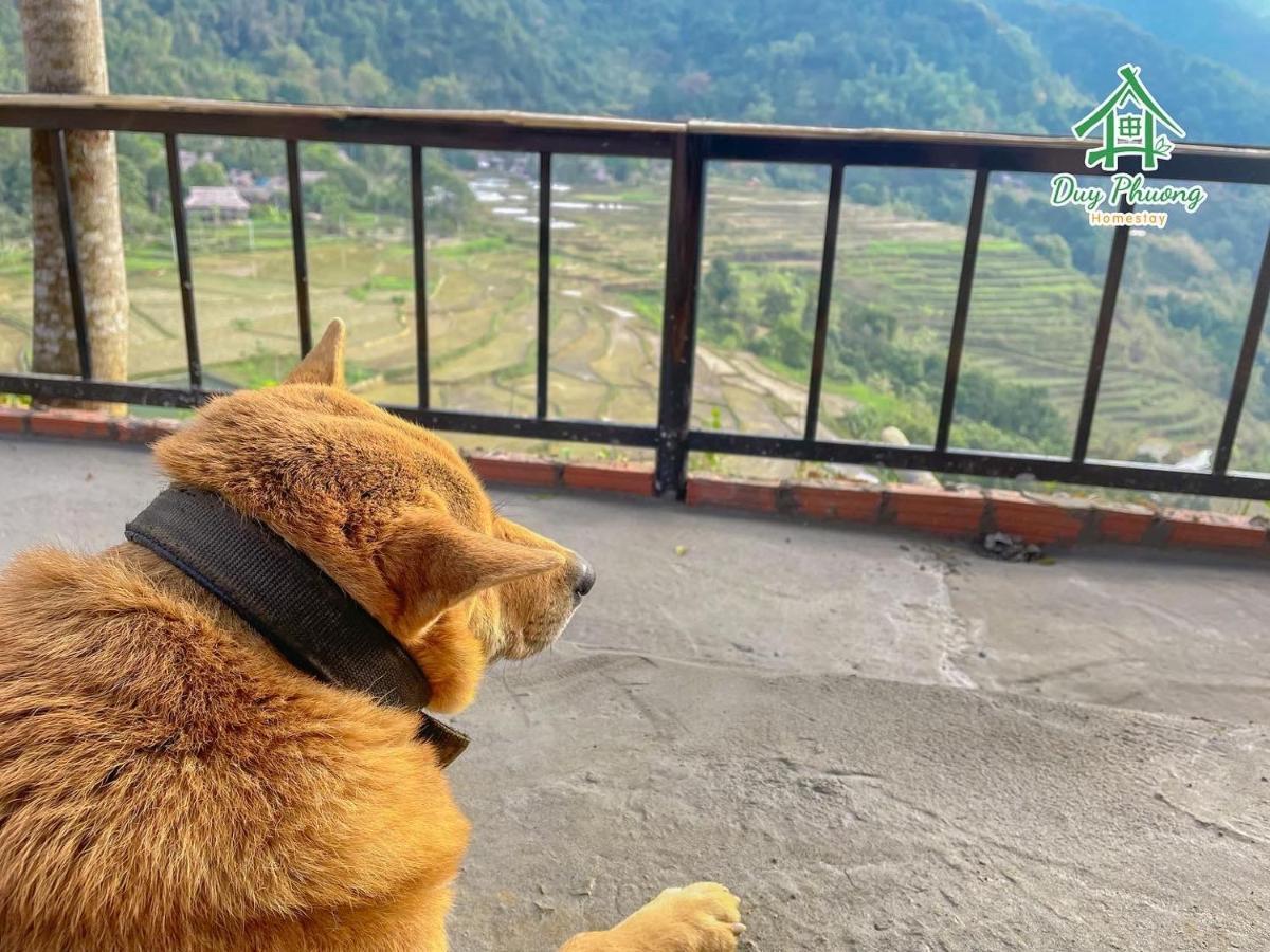 Pu Luong - Duy Phuong Homestay Thanh Hóa Εξωτερικό φωτογραφία